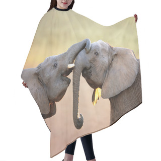 Personality  Elephants Touching Each Other Gently (greeting) Hair Cutting Cape