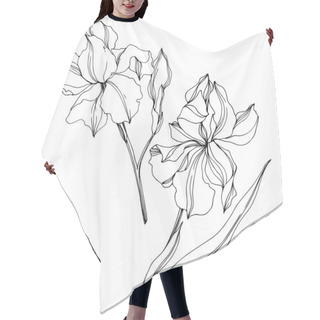 Personality  Vector Irises Floral Botanical Flowers. Black And White Engraved Ink Art. Isolated Irises Illustration Element. Hair Cutting Cape