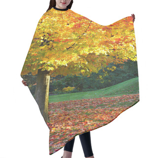 Personality  Autumn In The Park Hair Cutting Cape