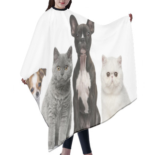 Personality  Group Of Dogs And Cats In Front Of White Background Hair Cutting Cape
