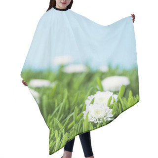 Personality  Camomiles And Green Grass Isolated On Blue  Hair Cutting Cape