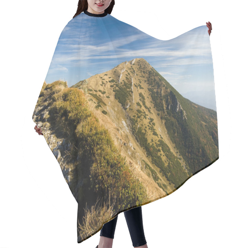 Personality  Autumn In Mala Fatra Mountains Hair Cutting Cape