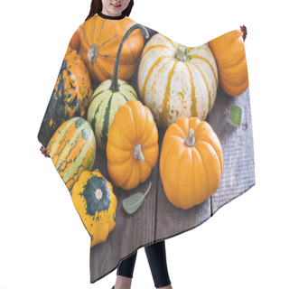 Personality  Pumpkins And Variety Of Squash Hair Cutting Cape
