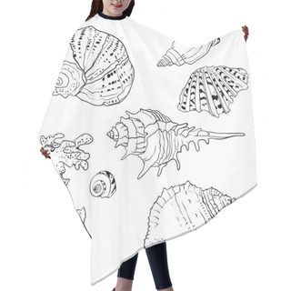 Personality  Set Of Vector Hand Drawn Seashells Hair Cutting Cape