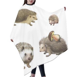 Personality  Four-toed Hedgehogs Hair Cutting Cape