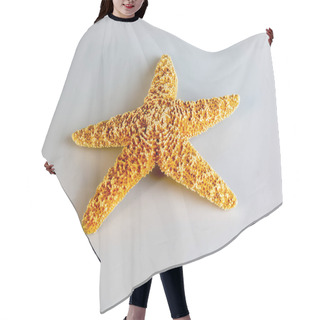 Personality  Starfish Asterias Rubens On A White Background. Natural Starfish. Hair Cutting Cape