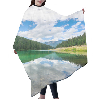 Personality  Olive Lake Hair Cutting Cape