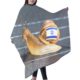 Personality  Snail Under Flag Of Israel On Sports Track Hair Cutting Cape