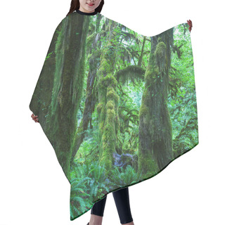 Personality  Green Forest Hair Cutting Cape