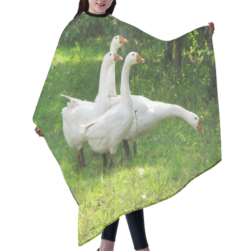 Personality  White geese on the green grass hair cutting cape
