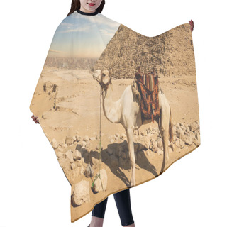 Personality  Camel Near Ruins Hair Cutting Cape