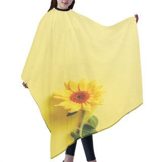 Personality  Top View Of Beautiful Sunflower On Yellow Background Hair Cutting Cape