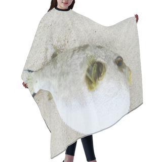Personality  Puffer Fish Hair Cutting Cape