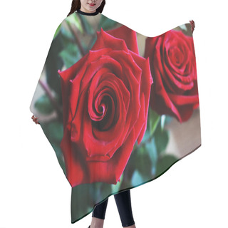Personality  Top View Of Beautiful Bud Of Red Rose. Dark Red Ruby Roses Bunch On Bokeh Green Leaves Background. Close Up View. Happy Valentine Day, Wedding, Love, Birthday Greeting Card, Invitation Hair Cutting Cape