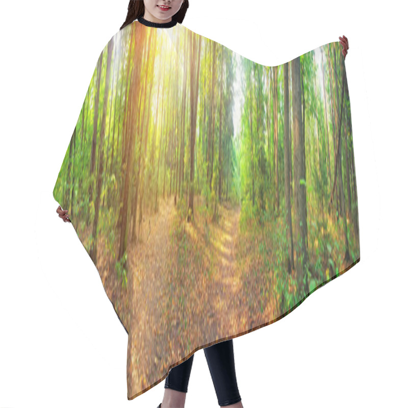 Personality  Forest Panorama Hair Cutting Cape