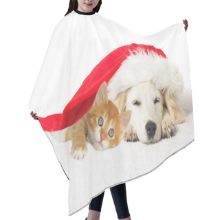 Personality  Christmas Labrador Puppy And Kitten Sleeping Hair Cutting Cape