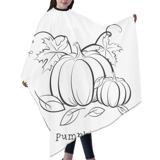 Personality  Pumpkin. Autumn Still Life. Picture For Coloring. Vector Illustration Isolated On A White Background. Hair Cutting Cape