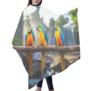 Personality  Blue-and-Yellow Macaw Ara Ararauna Hair Cutting Cape