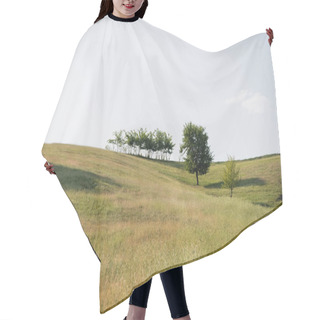 Personality  Trees Growing On Hilly Meadow Under Clear Sky Hair Cutting Cape