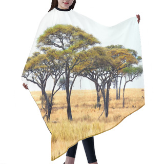 Personality  African Landscape With Acacia Trees Hair Cutting Cape