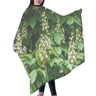 Personality  Flowering Poplar Tree With Green Leaves On Branches Hair Cutting Cape
