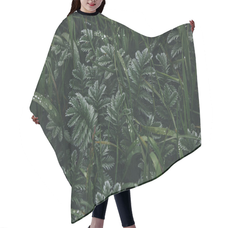 Personality  Plants Hair Cutting Cape