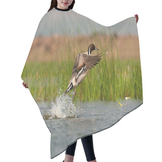 Personality  Northern Pintail Launched Hair Cutting Cape