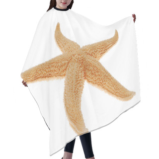 Personality  Starfish Isolated On White Hair Cutting Cape