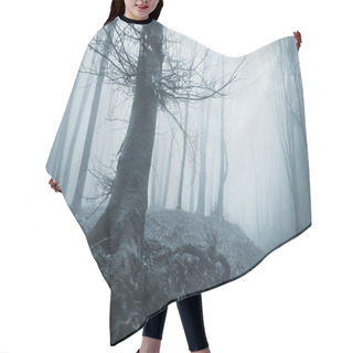 Personality  Spooky Tree In A Cold Forest With Fog Hair Cutting Cape