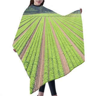 Personality  Salad Field Lines Hair Cutting Cape