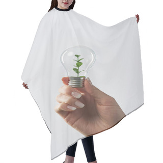 Personality  Cropped View Of Female Hand Holding Light Bulb With Green Plant On White Background Hair Cutting Cape