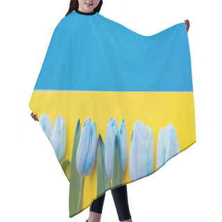 Personality  Blurred Tulips On Ukrainian Flag With Copy Space  Hair Cutting Cape