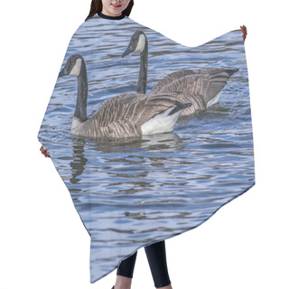 Personality  Canada Geese Swimming Hair Cutting Cape