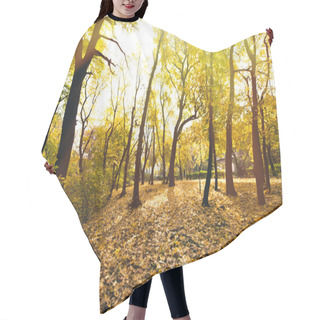 Personality  Autumn Forest Hair Cutting Cape