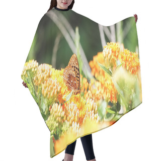 Personality  Great Spangled Fritillary Butterfly Hair Cutting Cape