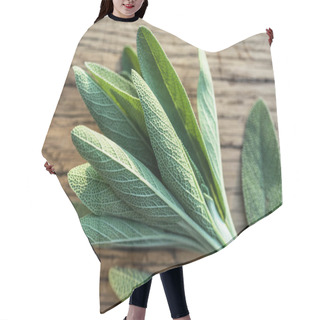 Personality  Fresh Leaves Of Garden Sage On The Wooden Background. Hair Cutting Cape