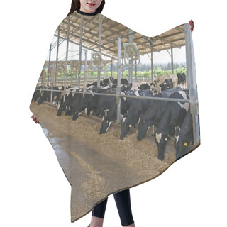 Personality  Modern Cowshed With Cows Hair Cutting Cape