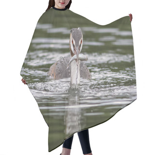 Personality  Great Crested Grebe Hair Cutting Cape