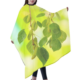 Personality  Green Birch Leaves, On Green Background Hair Cutting Cape