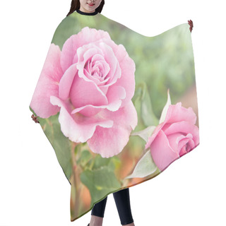 Personality  Beautiful Pink Roses In A Garden Hair Cutting Cape