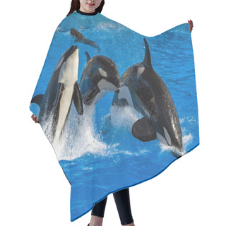 Personality  Orca Killer Whale While Jumping Hair Cutting Cape