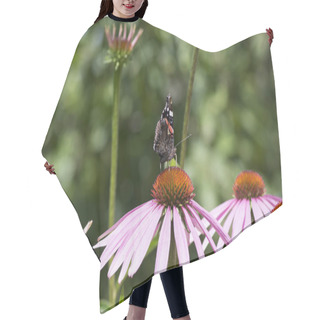 Personality  Echinacea Purpurea Flowering Plant, Eastern Purple Coneflower In Bloom, Vanessa Atalanta Butterfly Hair Cutting Cape