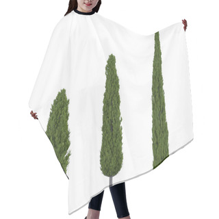 Personality  Cypress Tree On A White Background Hair Cutting Cape