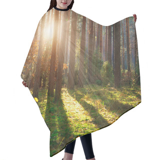 Personality  Misty Old Forest. Autumn Woods Hair Cutting Cape