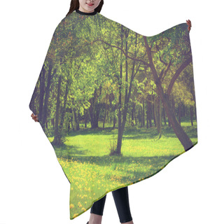 Personality  Green Spring Summer Park. Hair Cutting Cape