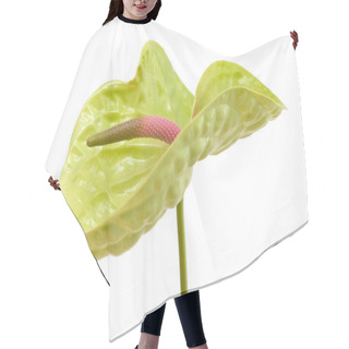 Personality  Green Anthurium Isolated Hair Cutting Cape