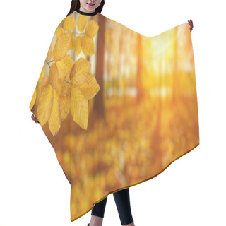 Personality   Autumn Leaves On The Sun Hair Cutting Cape