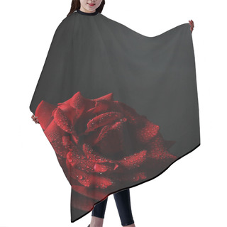 Personality  Red Rose With Dew On A Black Background Hair Cutting Cape