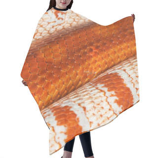 Personality  Two Snakes Skin Hair Cutting Cape