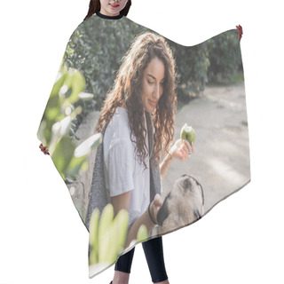 Personality  Smiling Young And Curly Woman In T-shirt And Sweater Holding Ripe Apple And Petting Pug Dog While Sitting On Stone Bench Near Bushes In Park In Barcelona, Spain  Hair Cutting Cape